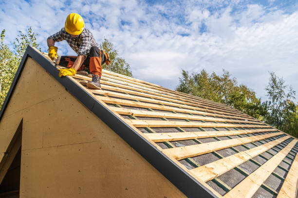 Best Gutter Installation and Roofing  in Brighton, TN