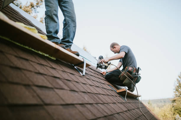 Quick and Trustworthy Emergency Roof Repair Services in Brighton, TN